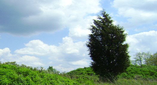 atlas_place_banner_wordpress