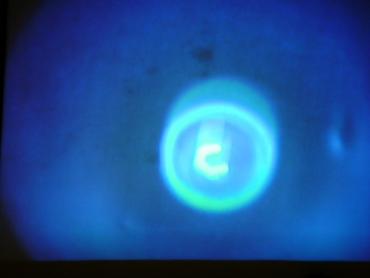 double_blind_wounded_speaker