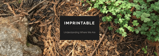 Screen Shot 2017-10-26 at 10.32.59 AM